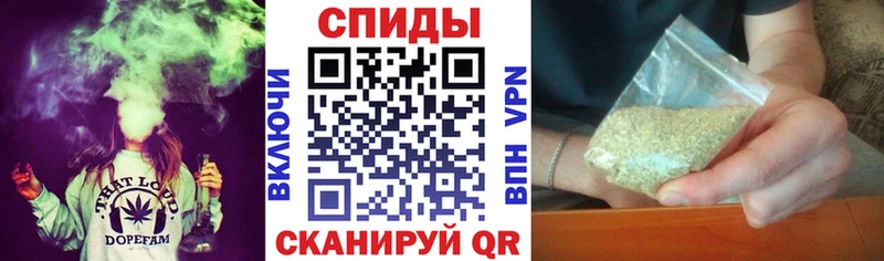 Бутират буратино  Купить где  Кимры 