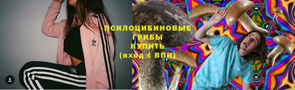 apvp Зеленокумск
