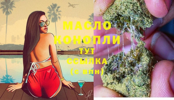 сатива Заволжье