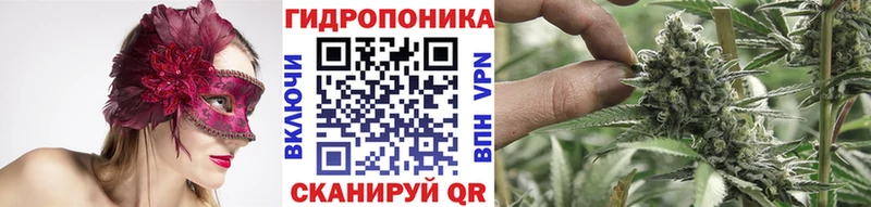Каннабис конопля  Купить где  Кимры 